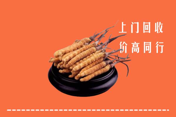高价求购：松溪县回收散虫草