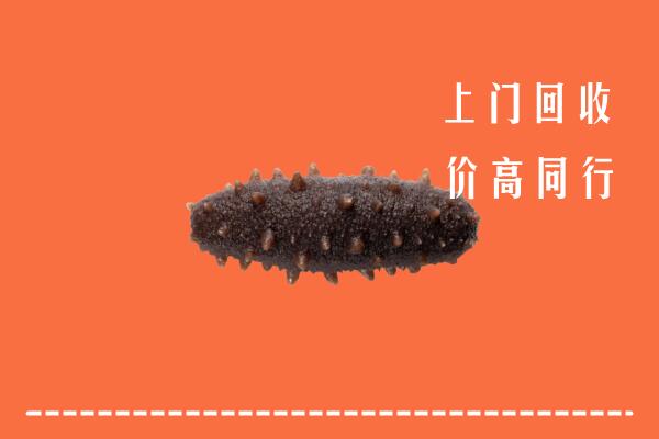 高价求购：松溪县回收海参