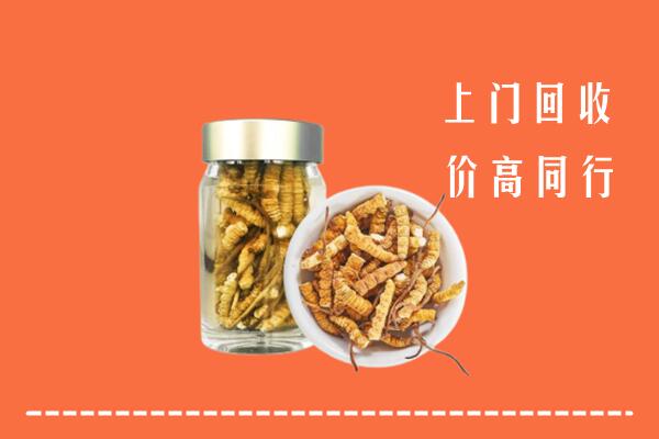 松溪县回收冬虫夏草
