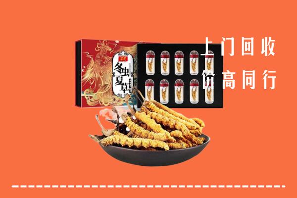 松溪县回收虫草